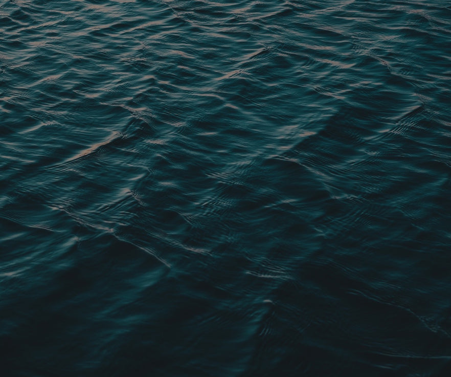 Wellness for the Environment