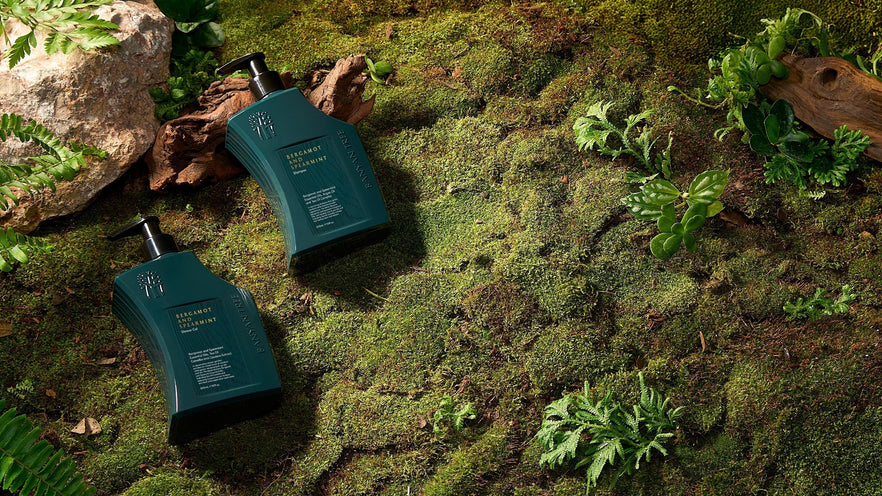 A New Collection for Mandai Rainforest Resort by Banyan Tree