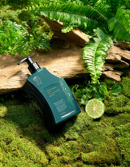 Bergamot and Spearmint Body Lotion