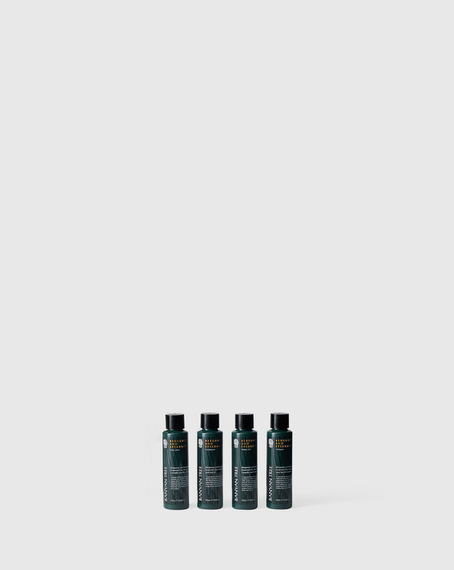 Travel Set Bergamot and Spearmint