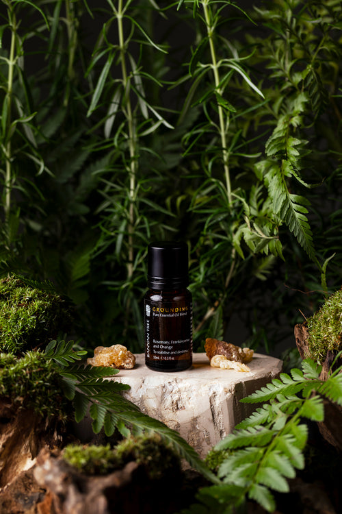 Grounding 100% Pure Essential Oil Blend