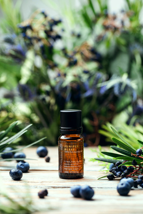 Juniper Berry 100% Pure Essential Oil