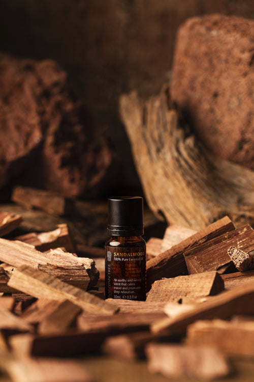 Sandalwood 100% Pure Essential Oil