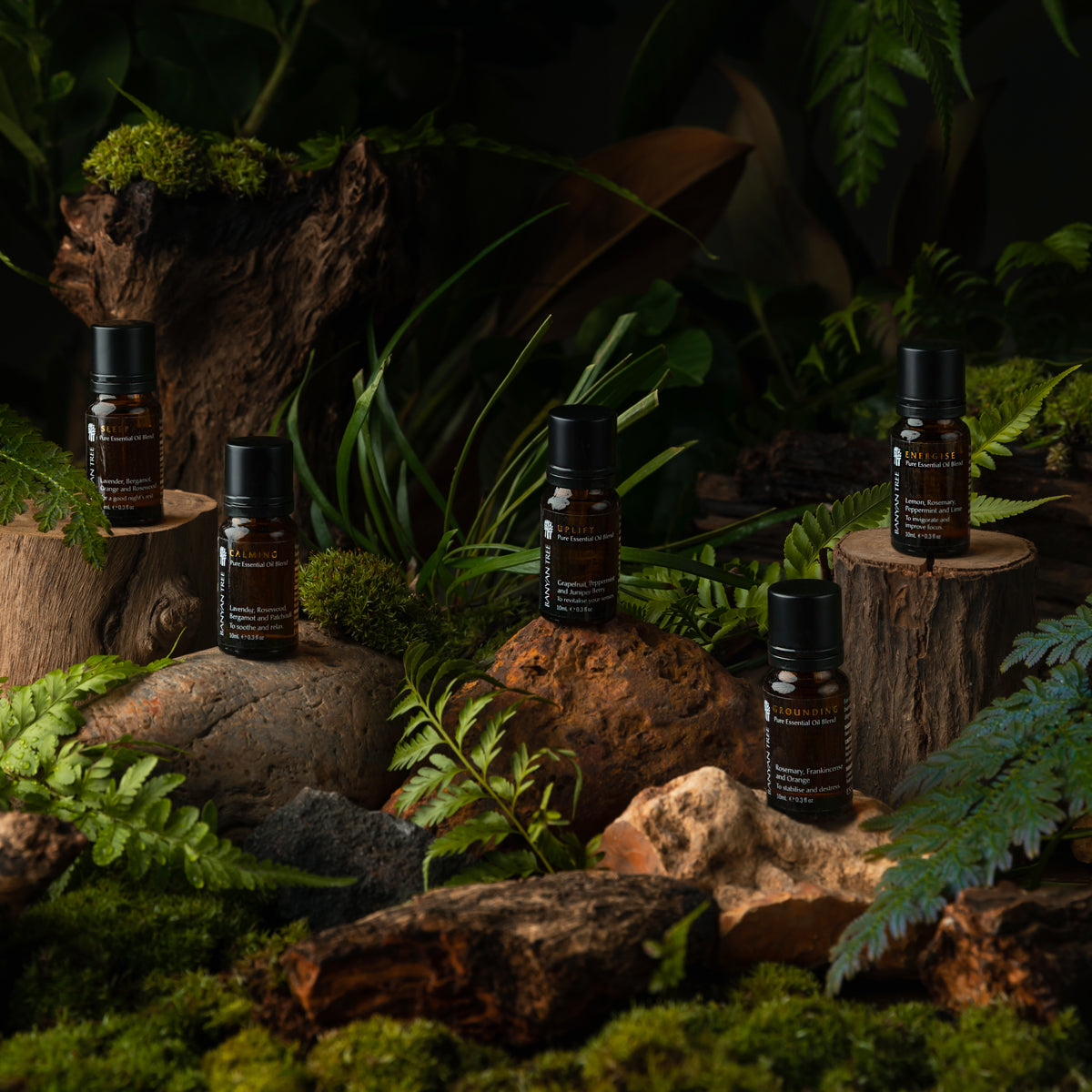 Elevate Your Fitness Routine with Essential Oils – Banyan Tree Essentials