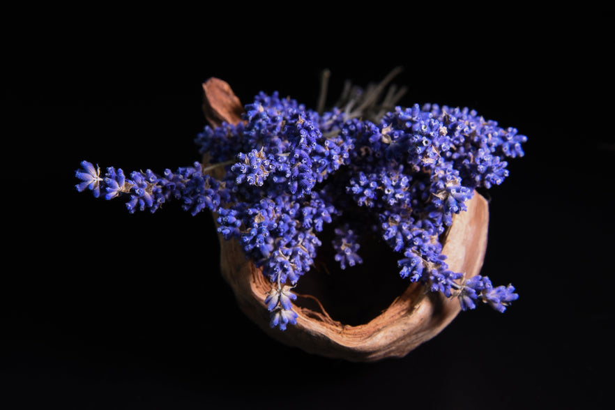 BEST ESSENTIAL OILS FOR SLEEP: A SPA-INSPIRED GUIDE TO DEEP RELAXATION