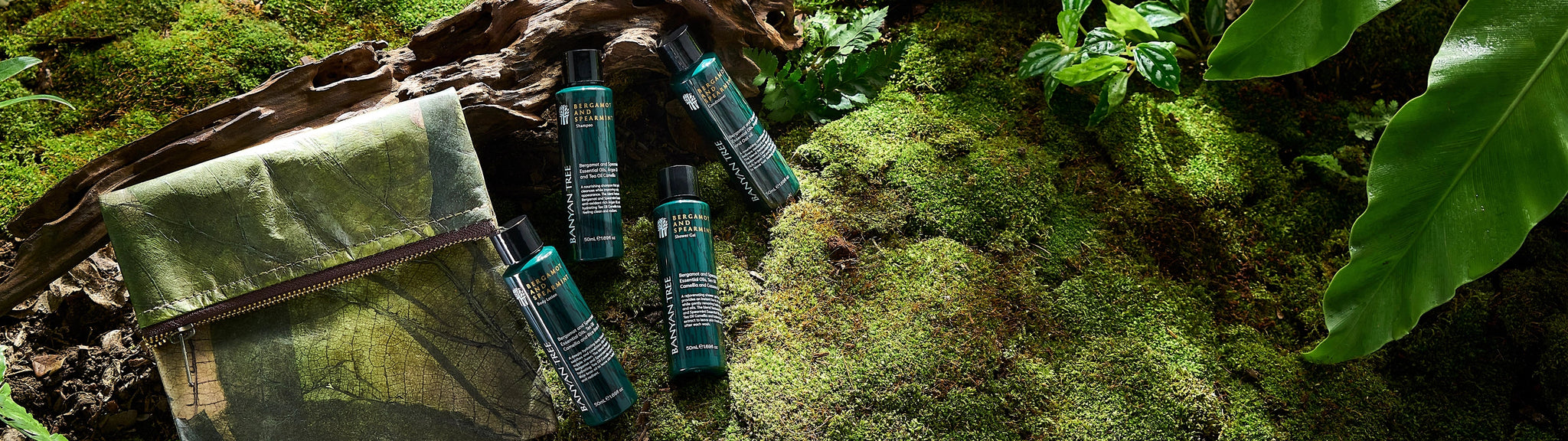 Bergamot and Spearmint