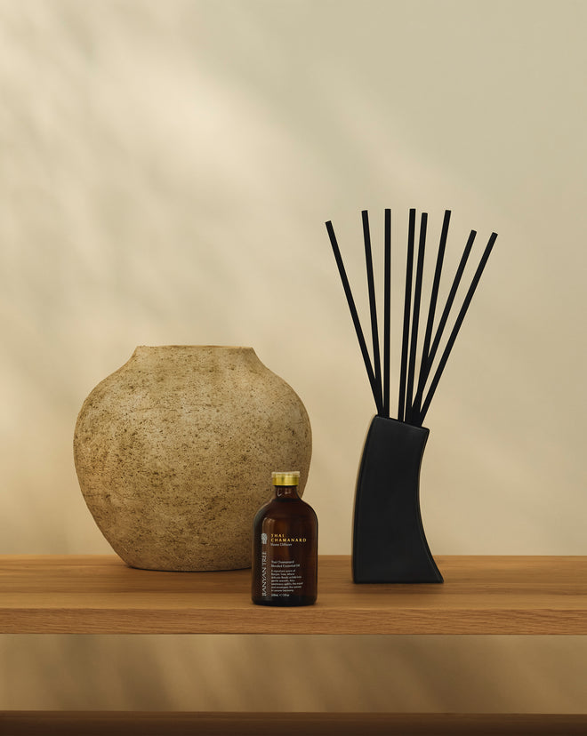 Home Diffuser Black Fibres