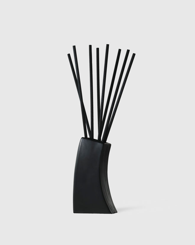 Home Diffuser Black Fibres