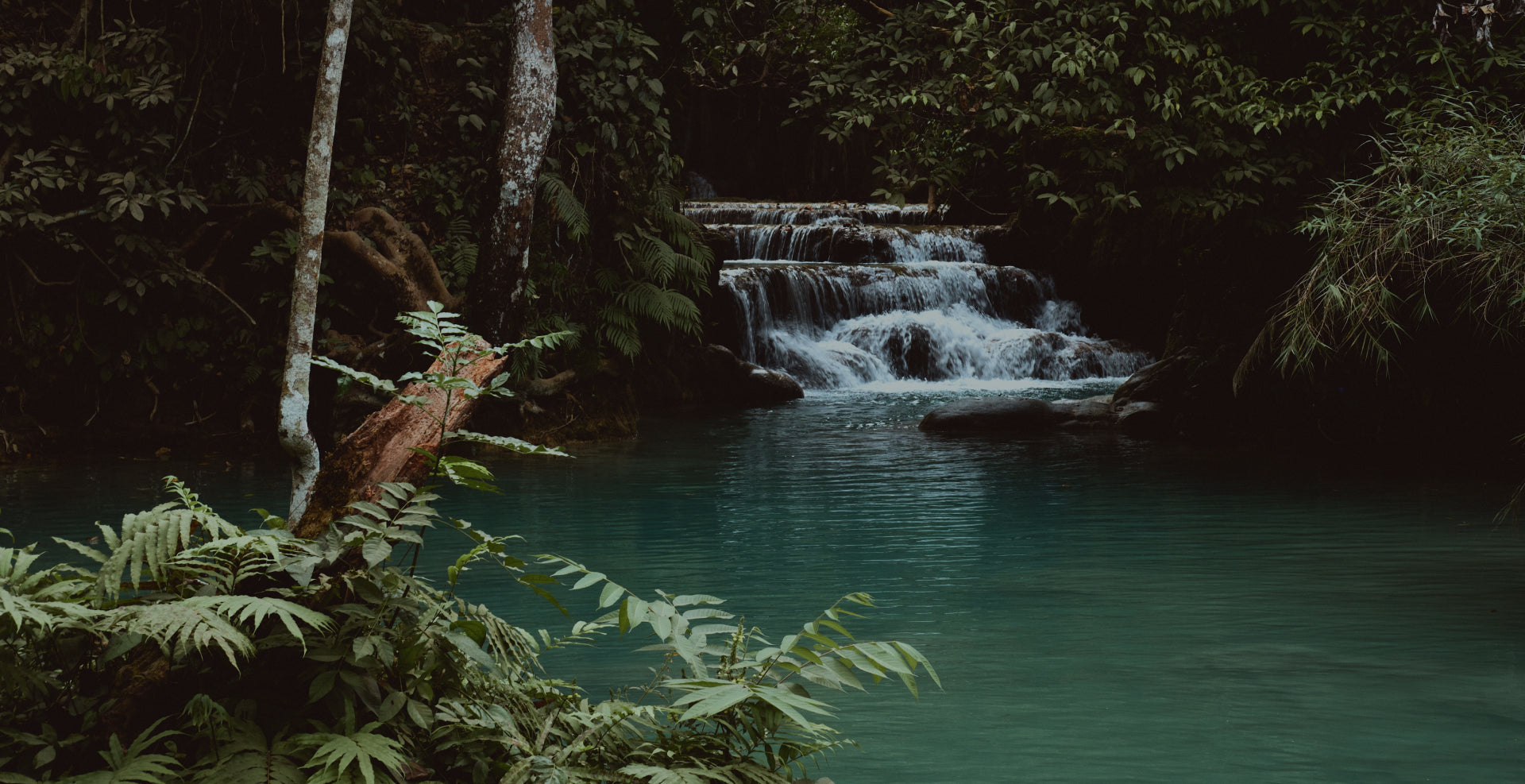 Highlight an image banner