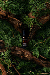 Cypress 100% Pure Essential Oil